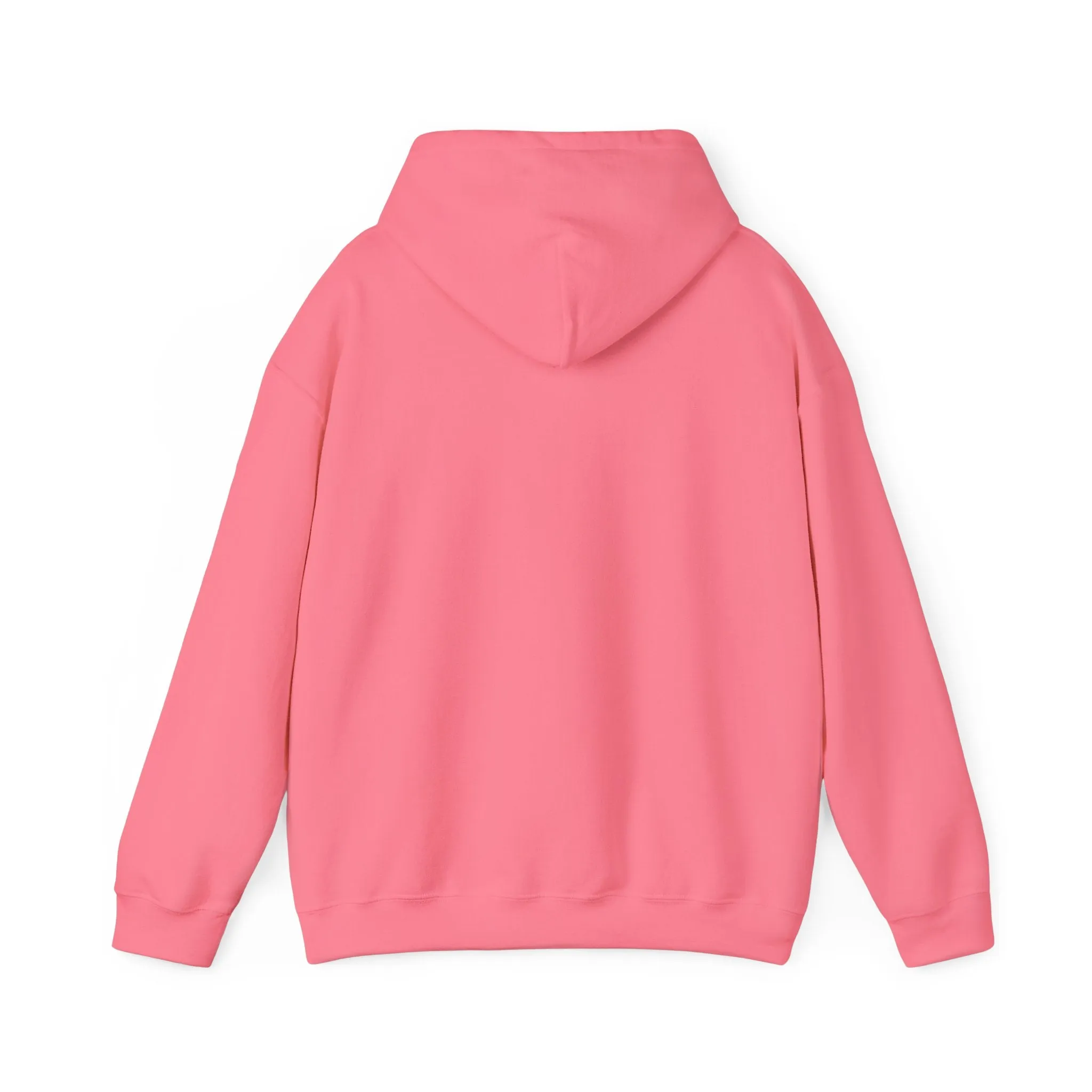 OPERATION GRATITUDE Hooded Sweatshirt